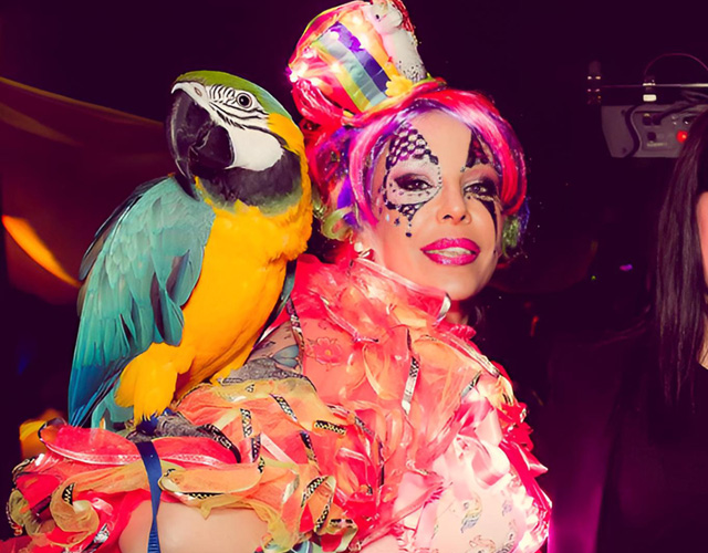 Thème soirée cirque