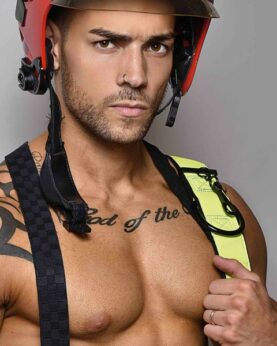 Chippendale Beauvais